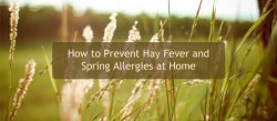 How to Prevent Hay Fever and Spring Allergies in Your Home